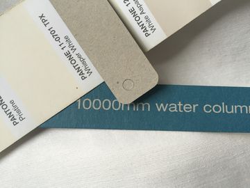 Recyclabel Özel Şekilli Giyim Askı Etiketler Gömlek Hang Tags Açıkça Fonksiyonu