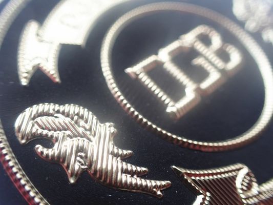 Üniformalar İçin Gümüş Kaplama Yüksek Frekanslı TPU Yamaları